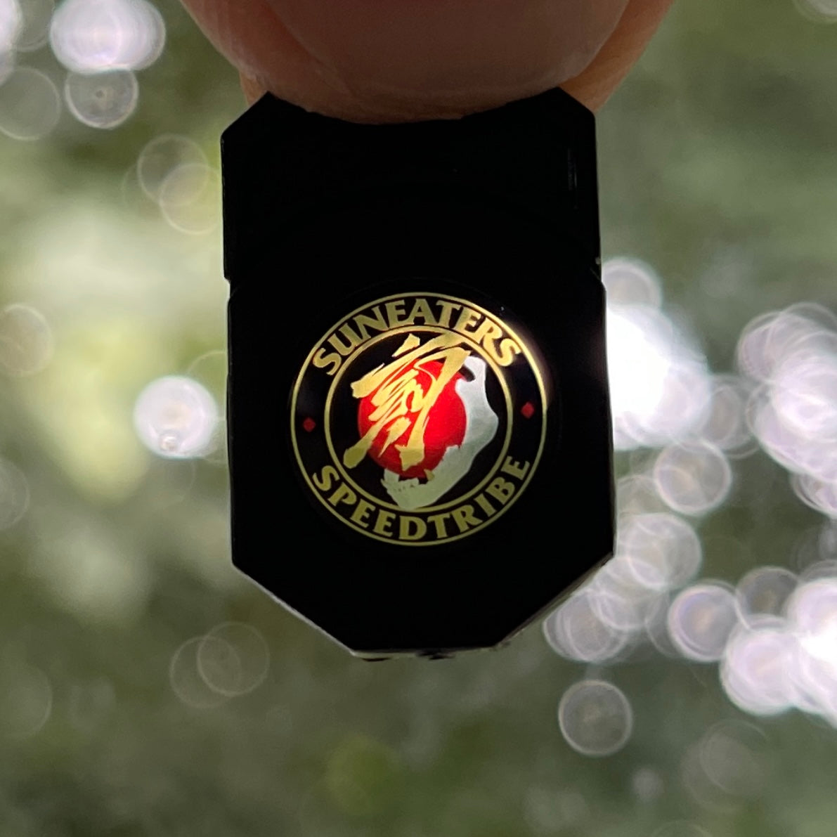 Gold Feng Door Projector [PRE-ORDER ends 12/1/22]